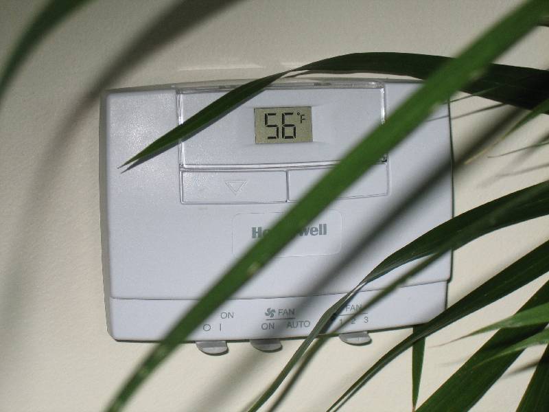 First real weekend 008 What temp my room is set to. Note the palm fronds